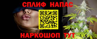 крисы Дубна