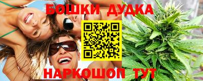 крисы Дубна