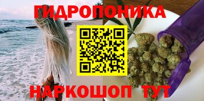 крисы Дубна