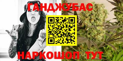 крисы Дубна
